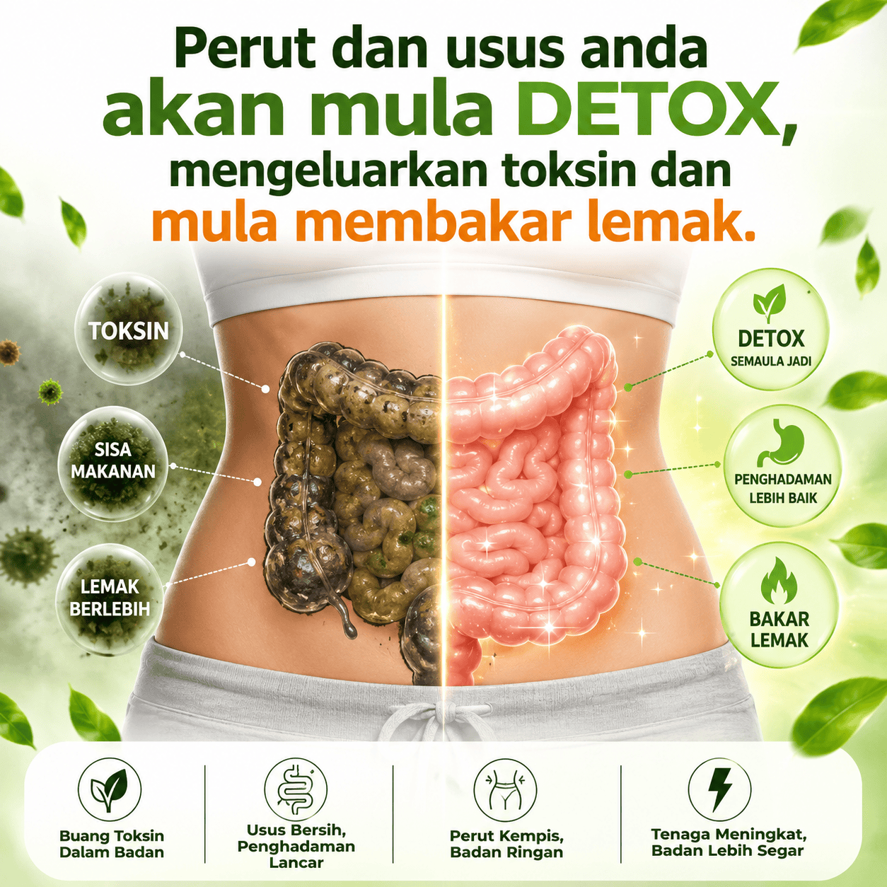 Minggu 1 - Detox usus