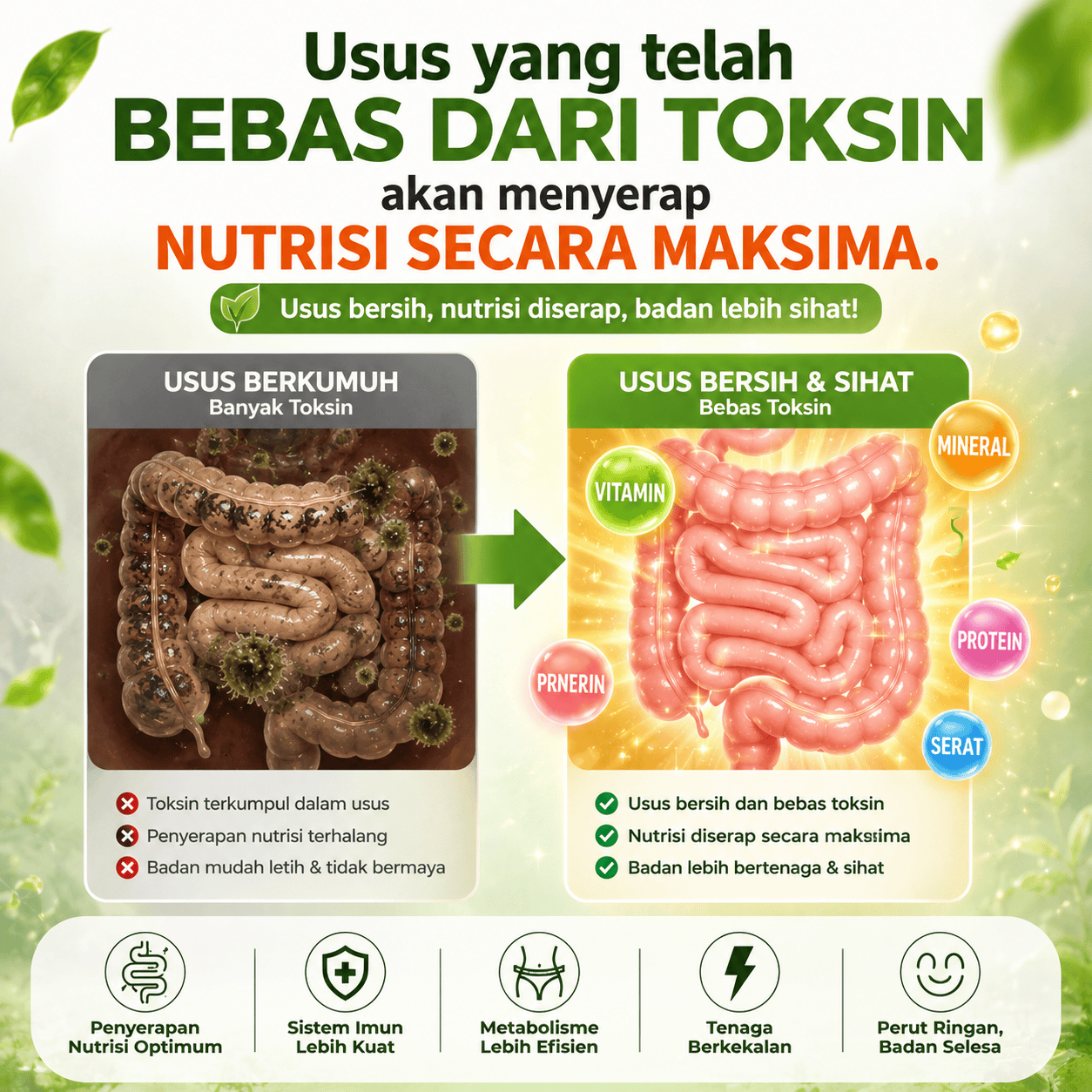 Minggu 2 - Penyerapan nutrisi maksima